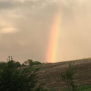 Meet your Posher, Stastaci